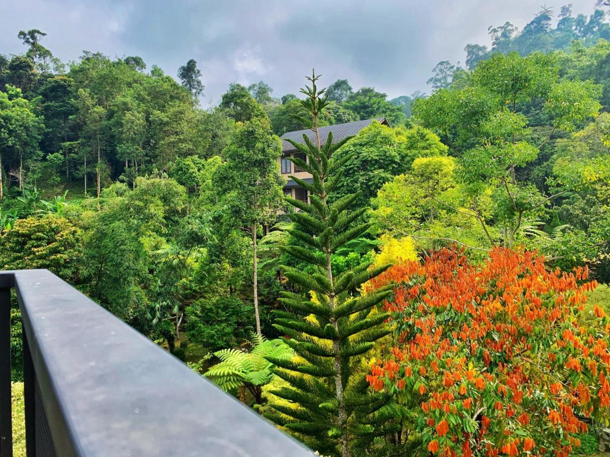 Harmony Valley Retreat 부키팅기 외부 사진