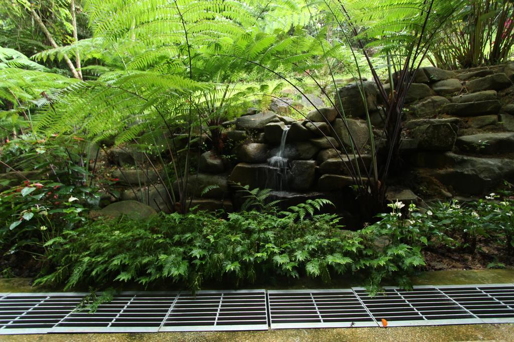 Harmony Valley Retreat 부키팅기 외부 사진