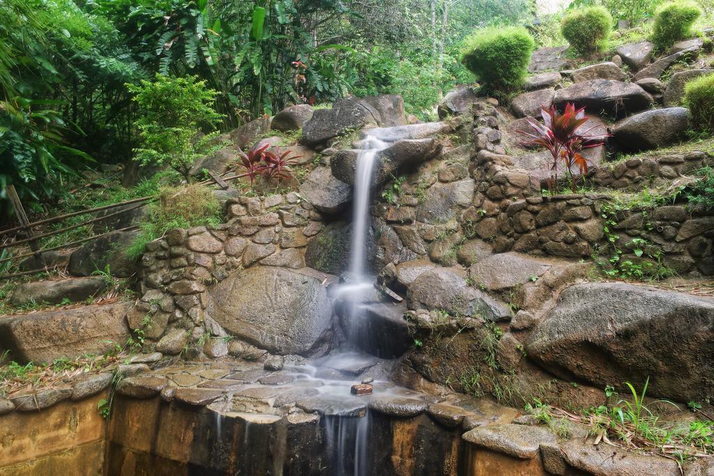 Harmony Valley Retreat 부키팅기 외부 사진