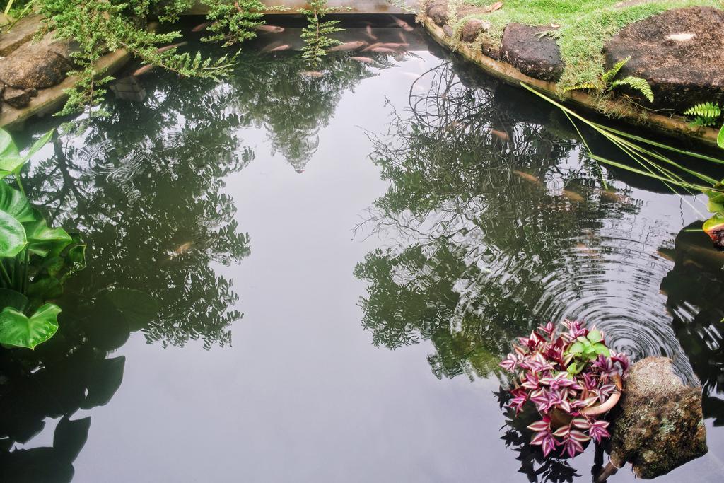Harmony Valley Retreat 부키팅기 외부 사진